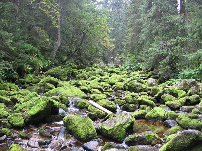 Tatry