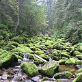 Tatry